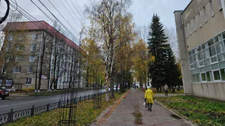Во Владимирской области на 15 октября прогнозируют сильный дождь и туман